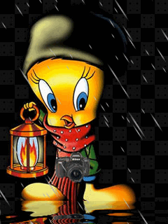Gif Titi pluie